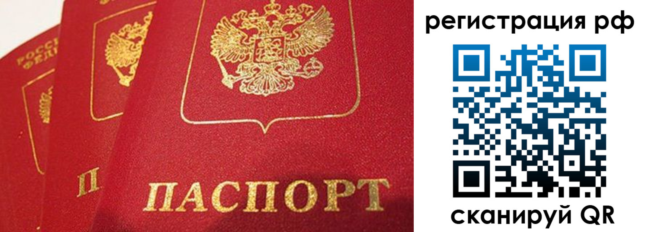 прописка поиск в Почепе